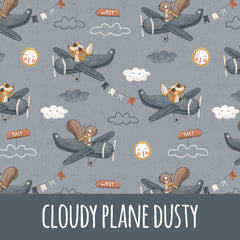 Cloudy plane dusty Bio Jersey - Mamikes