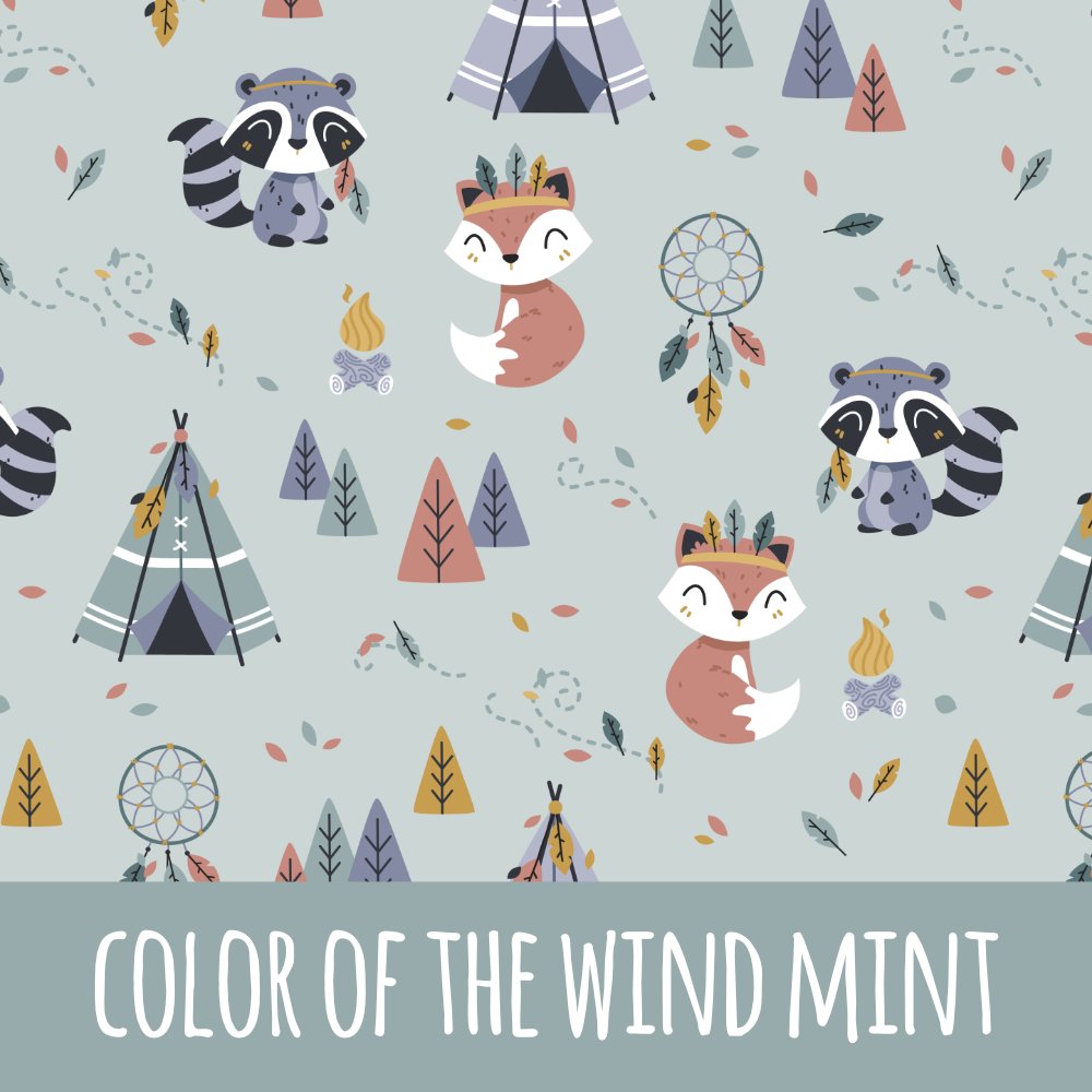 Color of the wind mint Bio Sommersweat - Mamikes