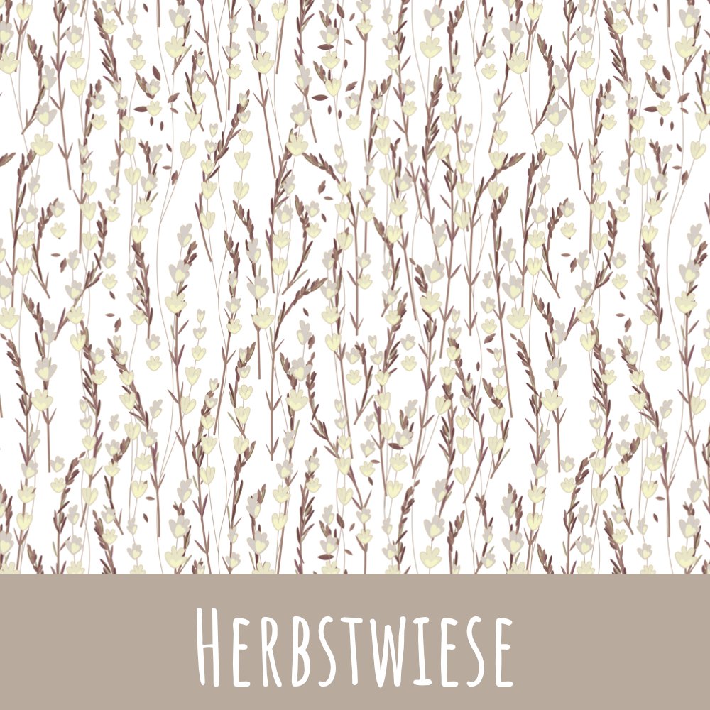 Herbstwiese Bio Jersey - Mamikes