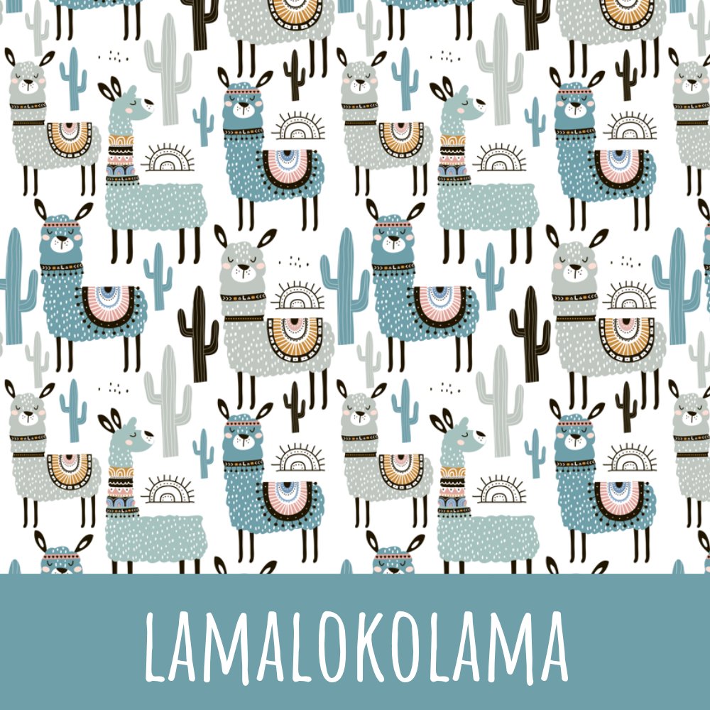 Lamalokolama petrol Bio Jersey - Mamikes