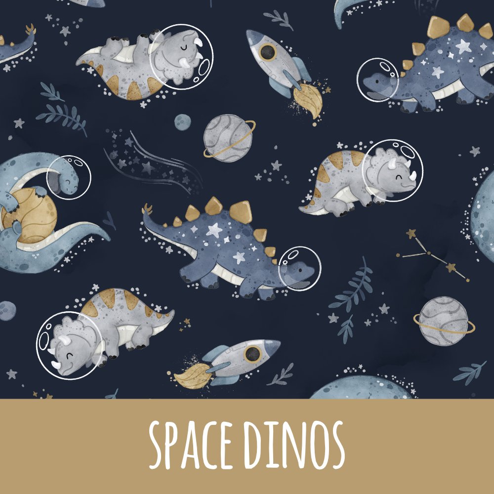 Space dinos Bio Jersey - Mamikes