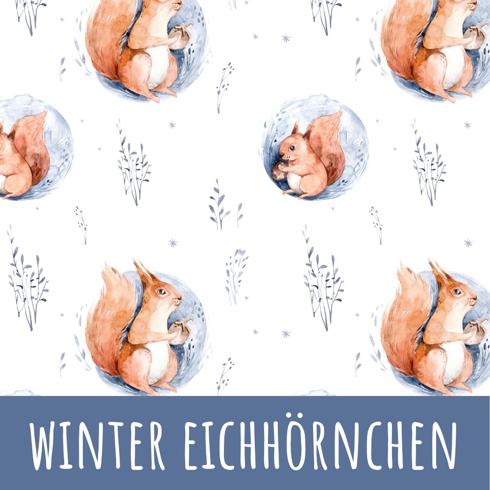 Winterland Eichhörnchen Bio Jersey - Mamikes